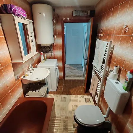 Apartment Aleksic