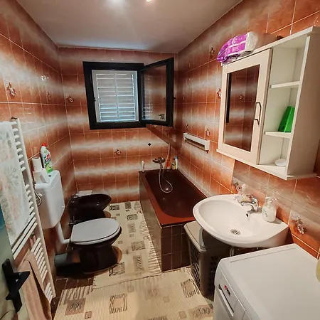 Apartment Aleksic